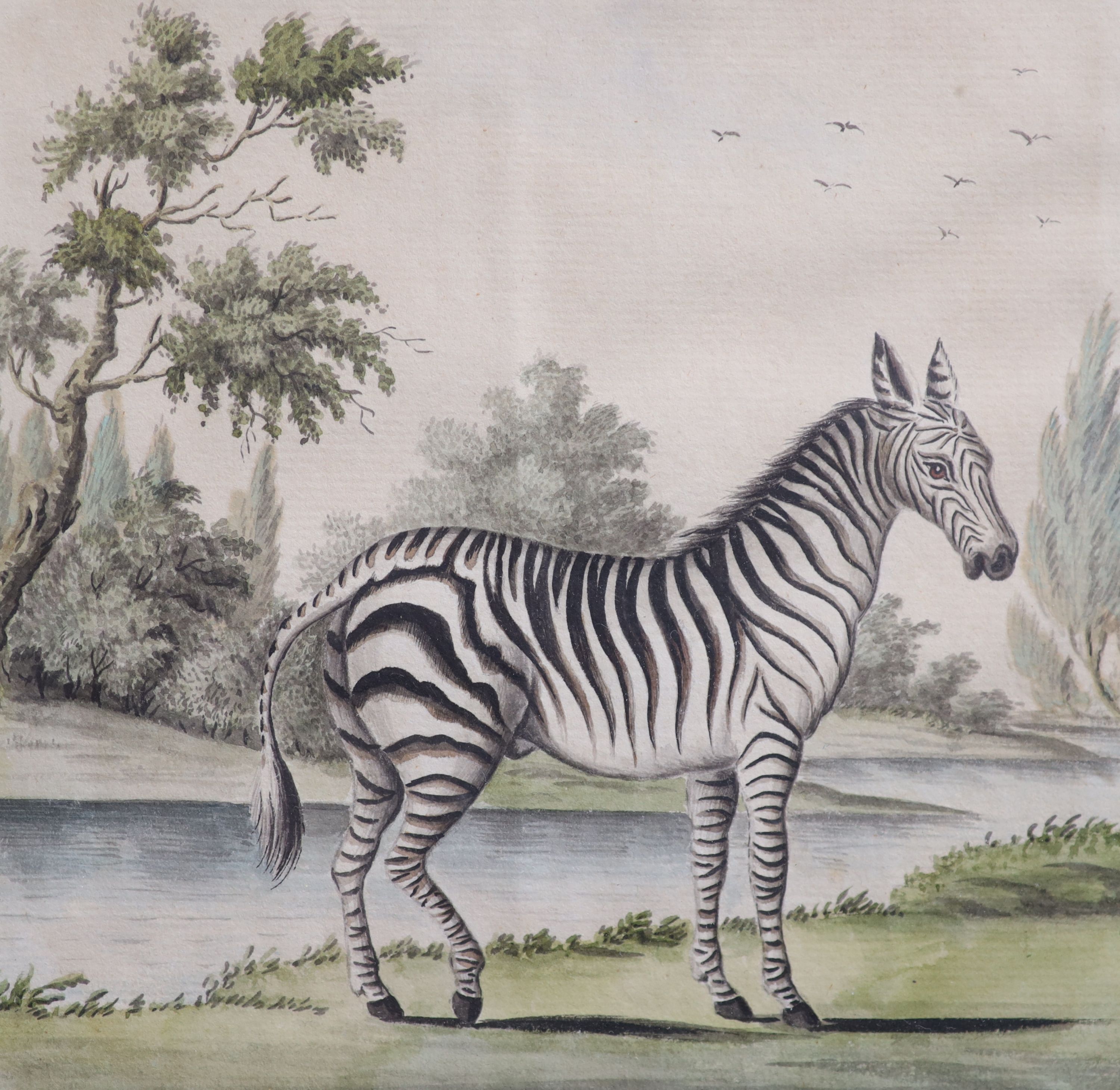 English School c.1780 , Zebra in a South African landscape, watercolour on paper, 15 x 15cm